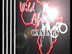 Wild Africa Canings Female Prison Anguish