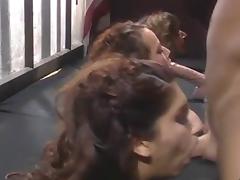 funny group blowjob